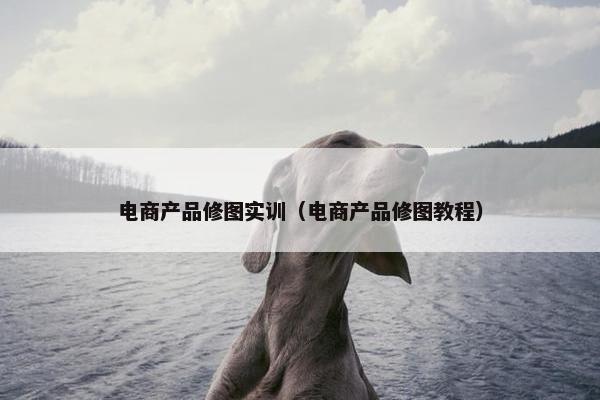 电商产品修图实训（电商产品修图教程）