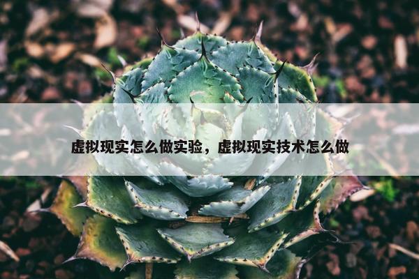 虚拟现实怎么做实验，虚拟现实技术怎么做
