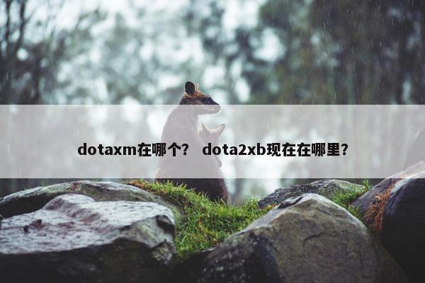 dotaxm在哪个？ dota2xb现在在哪里？