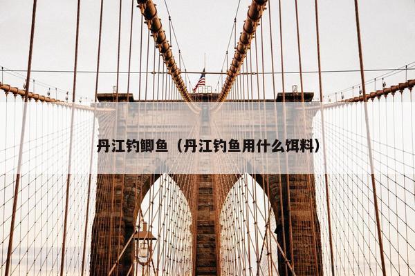 丹江钓鲫鱼（丹江钓鱼用什么饵料）