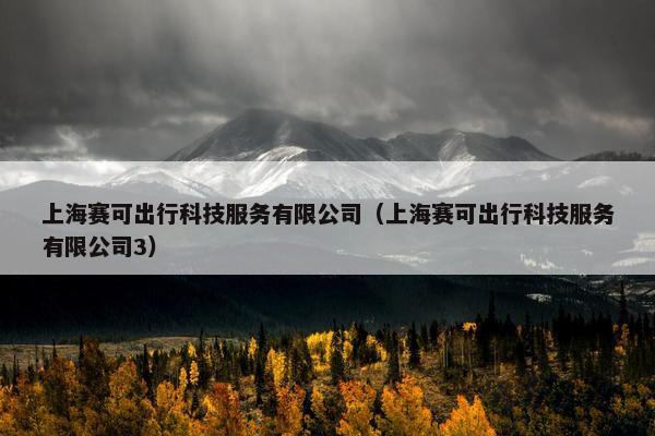 上海赛可出行科技服务有限公司（上海赛可出行科技服务有限公司3）
