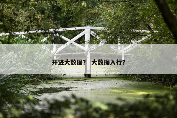 开进大数据？ 大数据入行？