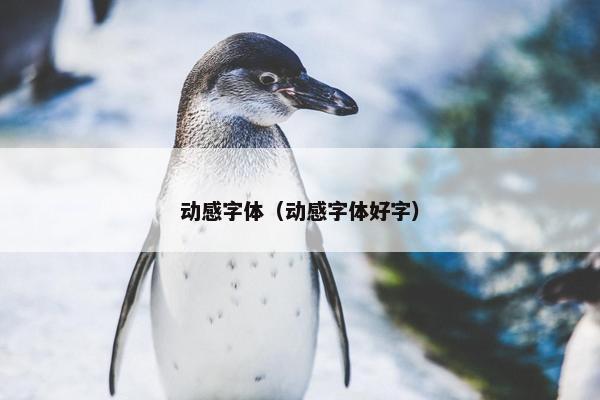 动感字体（动感字体好字）