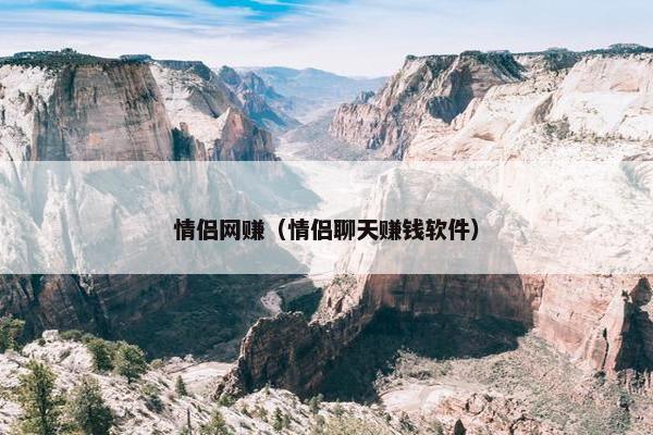 情侣网赚（情侣聊天赚钱软件）