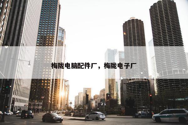梅陇电脑配件厂，梅陇电子厂
