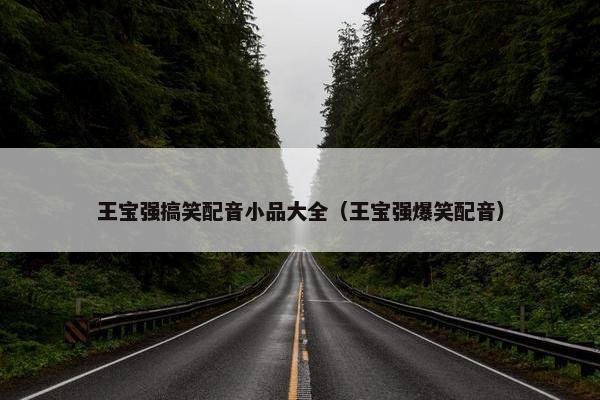 王宝强搞笑配音小品大全（王宝强爆笑配音）