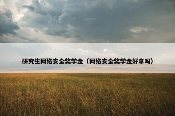 研究生网络安全奖学金（网络安全奖学金好拿吗）