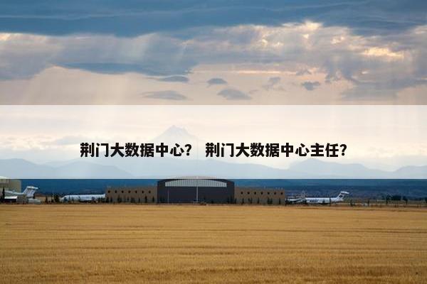 荆门大数据中心？ 荆门大数据中心主任？