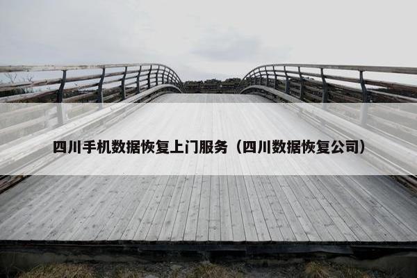 四川手机数据恢复上门服务（四川数据恢复公司）