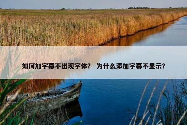 如何加字幕不出现字体？ 为什么添加字幕不显示？