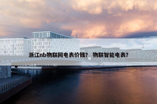 浙江nb物联网电表价钱？ 物联智能电表？