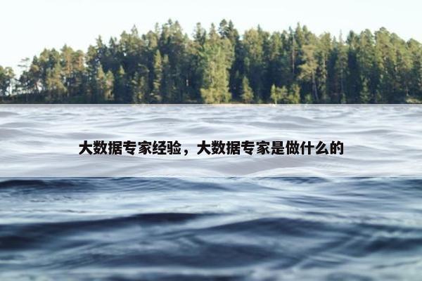 大数据专家经验，大数据专家是做什么的