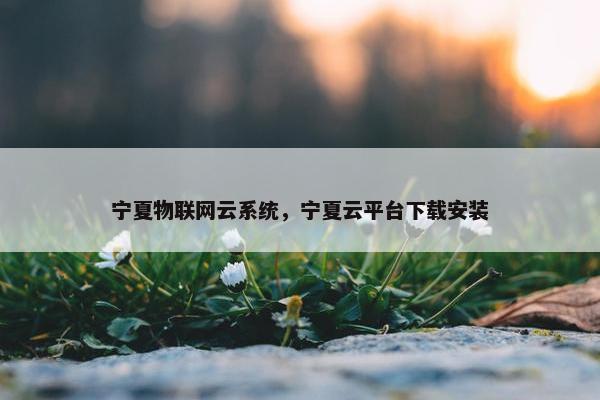 宁夏物联网云系统，宁夏云平台下载安装