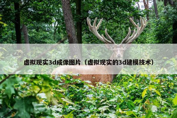 虚拟现实3d成像图片（虚拟现实的3d建模技术）