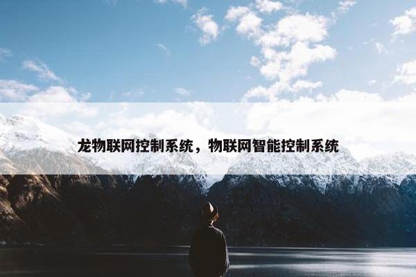 龙物联网控制系统，物联网智能控制系统