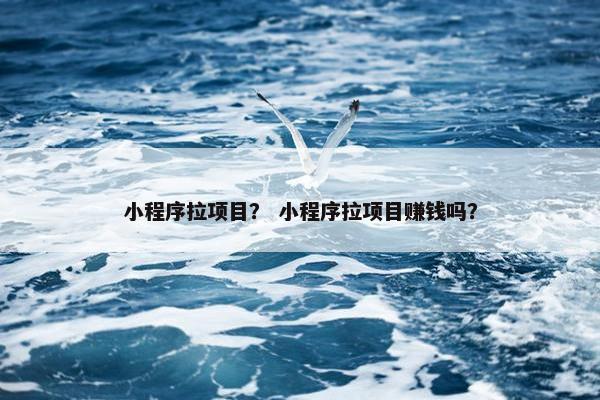 小程序拉项目？ 小程序拉项目赚钱吗？