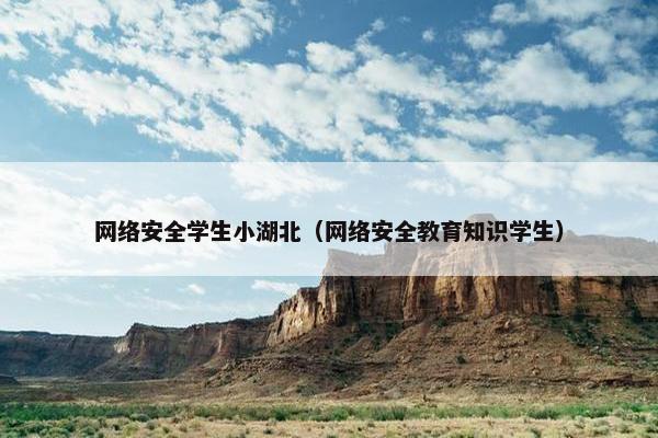 网络安全学生小湖北（网络安全教育知识学生）