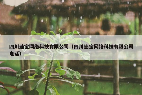 四川速宝网络科技有限公司（四川速宝网络科技有限公司电话）