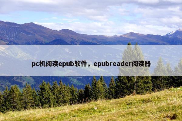 pc机阅读epub软件，epubreader阅读器