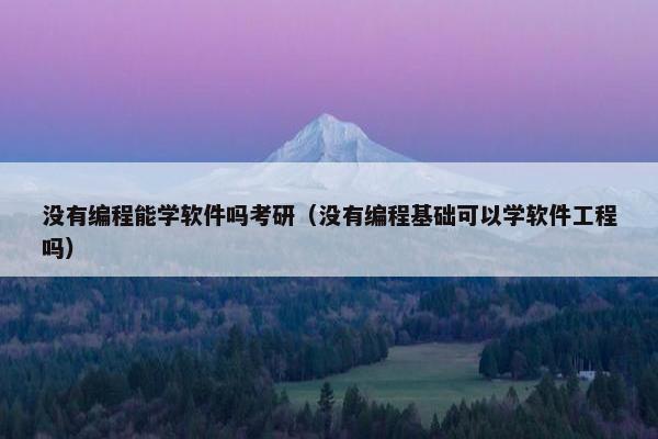 没有编程能学软件吗考研（没有编程基础可以学软件工程吗）