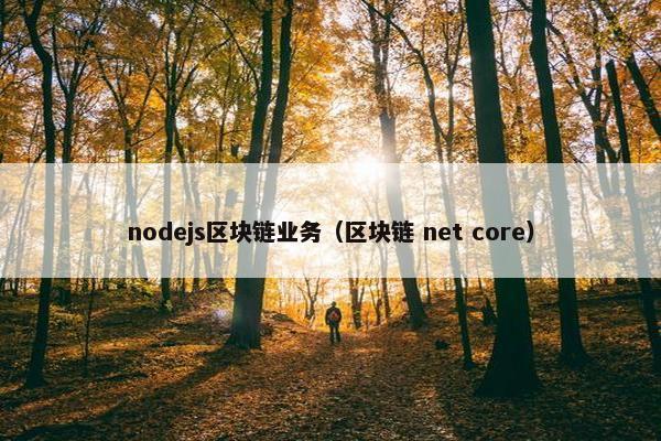 nodejs区块链业务（区块链 net core）