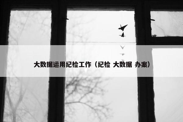 大数据运用纪检工作（纪检 大数据 办案）