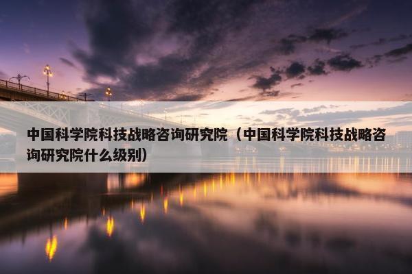 中国科学院科技战略咨询研究院（中国科学院科技战略咨询研究院什么级别）