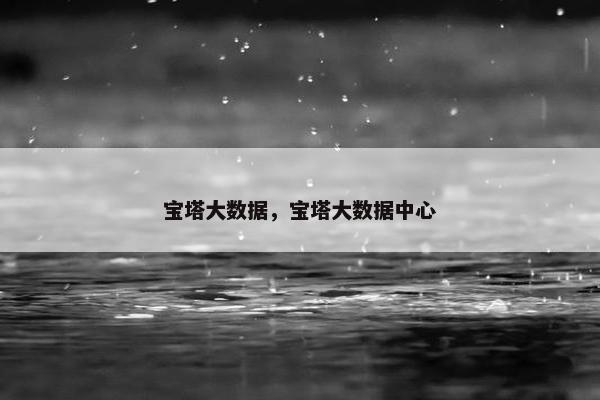 宝塔大数据，宝塔大数据中心