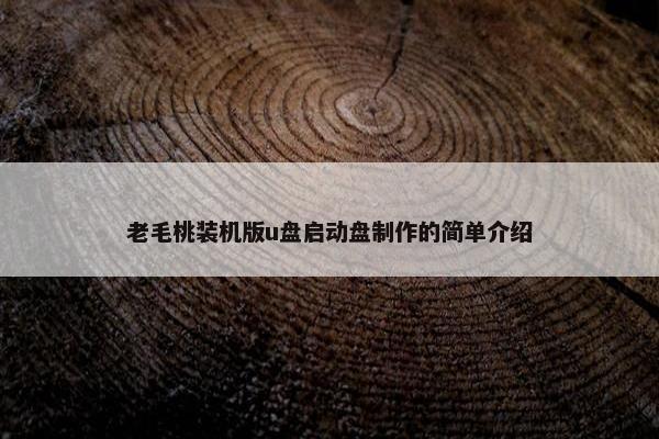 老毛桃装机版u盘启动盘制作的简单介绍