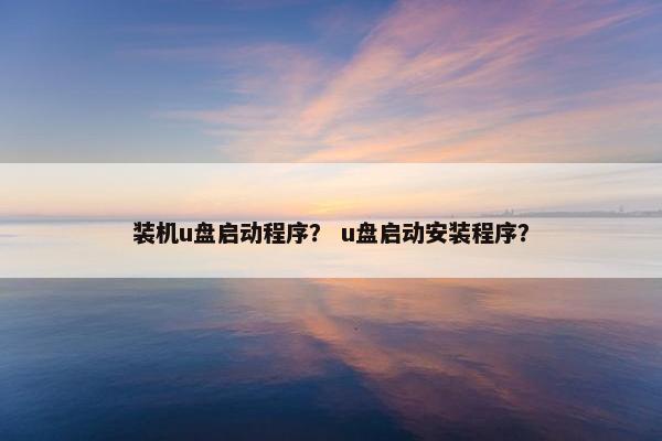 装机u盘启动程序？ u盘启动安装程序？