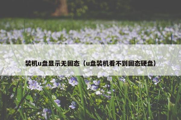 装机u盘显示无固态（u盘装机看不到固态硬盘）