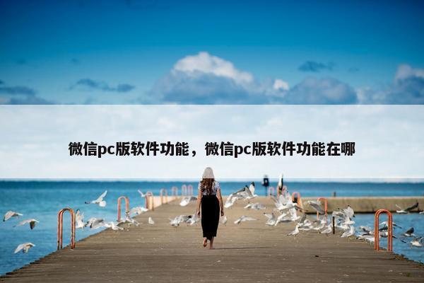 微信pc版软件功能，微信pc版软件功能在哪