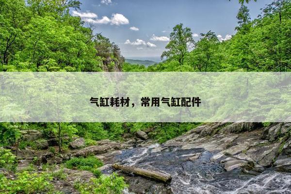 气缸耗材，常用气缸配件