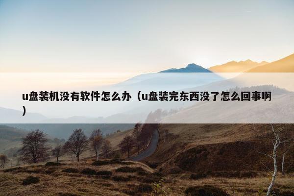 u盘装机没有软件怎么办（u盘装完东西没了怎么回事啊）