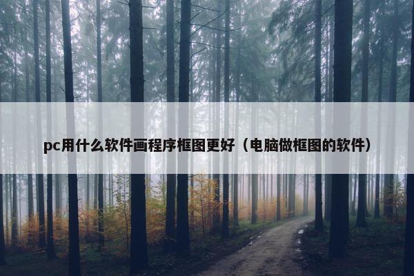 pc用什么软件画程序框图更好（电脑做框图的软件）