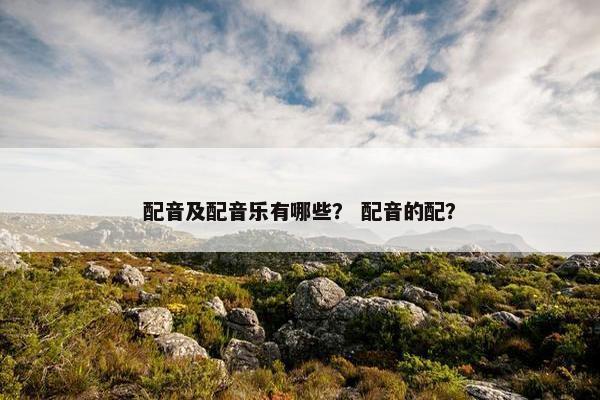 配音及配音乐有哪些？ 配音的配？
