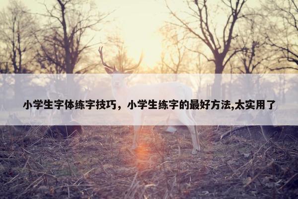 小学生字体练字技巧，小学生练字的最好方法,太实用了