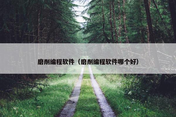 磨削编程软件（磨削编程软件哪个好）