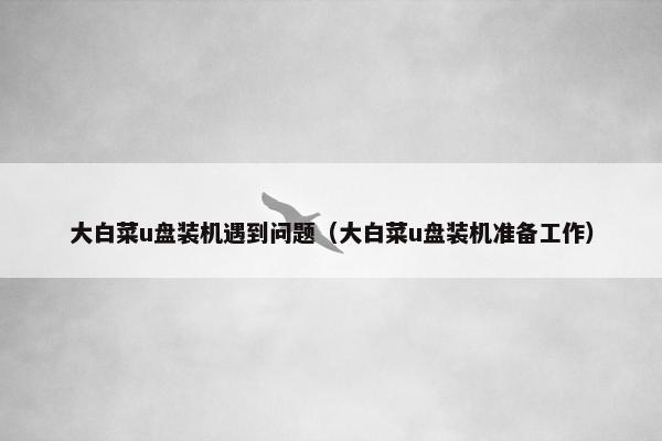大白菜u盘装机遇到问题（大白菜u盘装机准备工作）