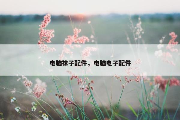 电脑袜子配件，电脑电子配件