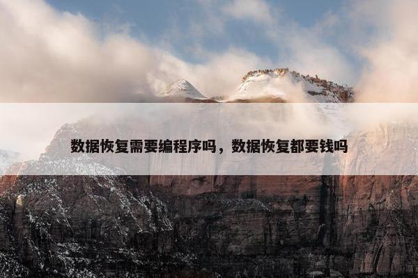 数据恢复需要编程序吗，数据恢复都要钱吗