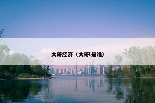 大哥经济（大哥l是谁）
