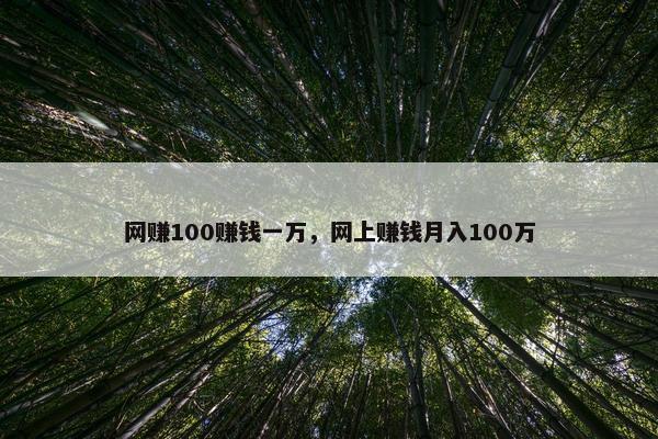 网赚100赚钱一万，网上赚钱月入100万