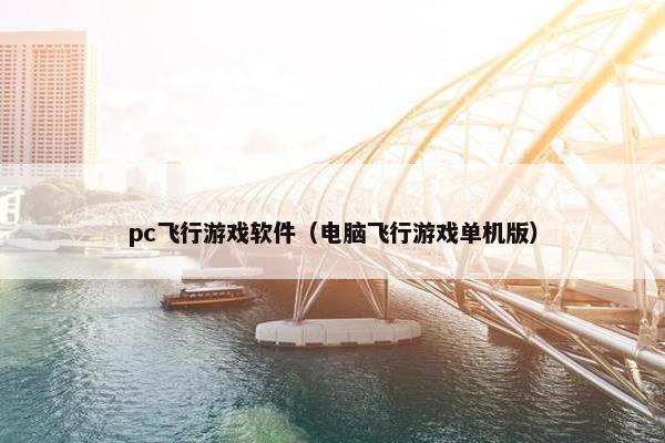 pc飞行游戏软件（电脑飞行游戏单机版）