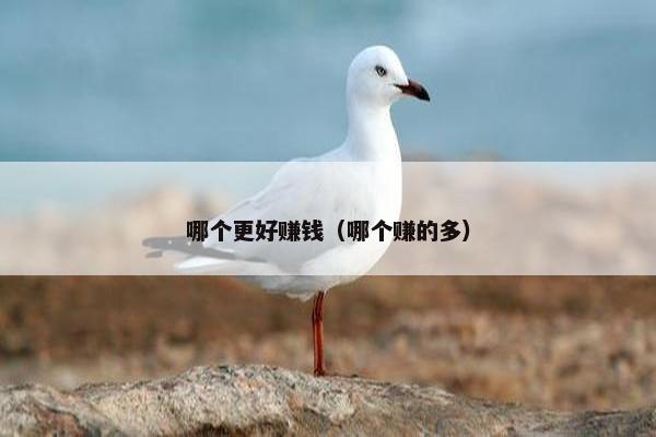 哪个更好赚钱（哪个赚的多）