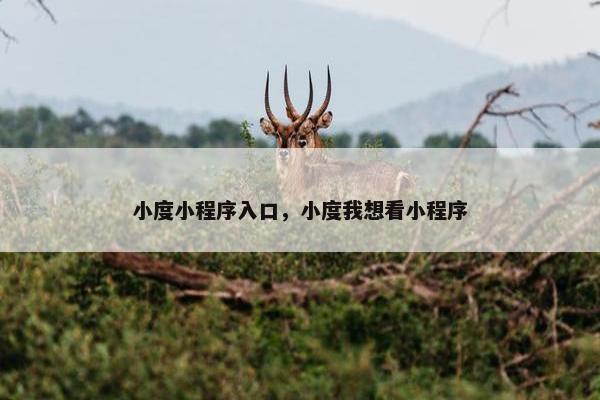 小度小程序入口，小度我想看小程序