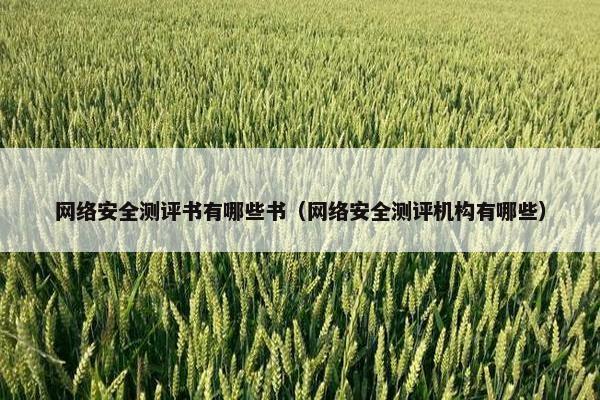 网络安全测评书有哪些书（网络安全测评机构有哪些）