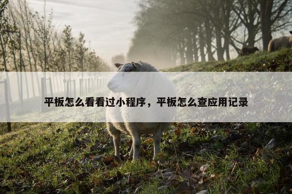 平板怎么看看过小程序，平板怎么查应用记录