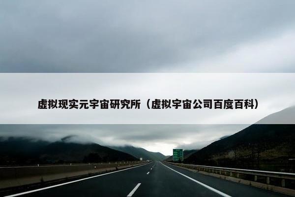 虚拟现实元宇宙研究所（虚拟宇宙公司百度百科）
