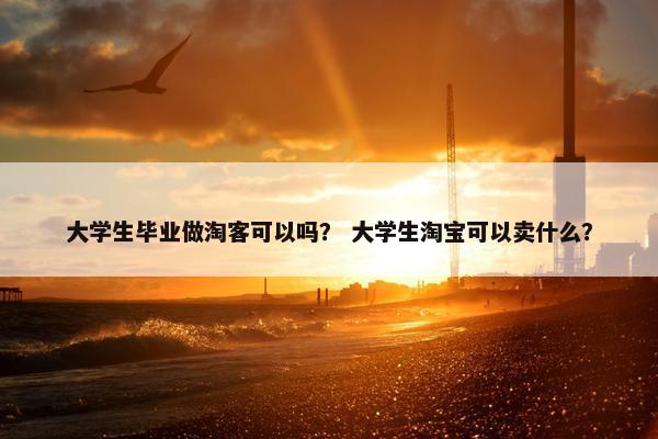 大学生毕业做淘客可以吗？ 大学生淘宝可以卖什么？